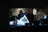 「天国帰りの猫ミュージシャンがスタジオライブという異常事態【ネコ界の星野源？】」の画像3