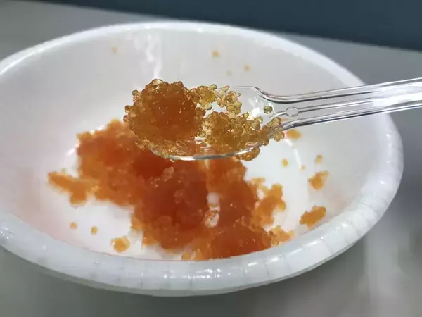 「代替肉ならぬ「代替シーフード」続々登場」の画像