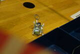 「祝・生誕49年！赤江珠緒が博多大吉に贈った『おもちゃの缶詰』の中身とは…」の画像17