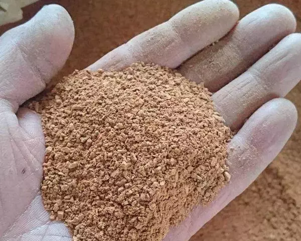 「ヤクルトスワローズ日本一の勝因は「北海道の土管」？」の画像