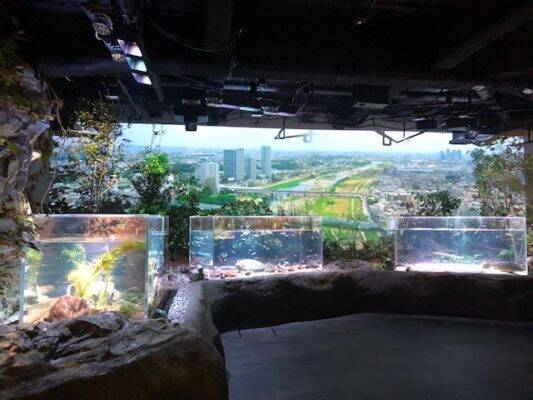 OPENして1ヶ月！工夫がいっぱいの都市型水族館「カワスイ 川崎水族館」