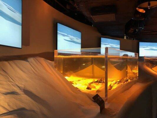 OPENして1ヶ月！工夫がいっぱいの都市型水族館「カワスイ 川崎水族館」