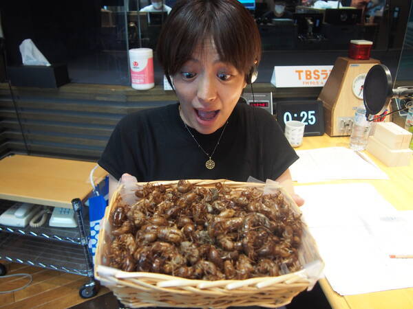 竹ガム調査報告 セミの抜け殻 好きですか 嫌いですか 年8月26日 エキサイトニュース