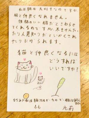 こどもでんわそうだんしつと郵便局と 猫と仲良くなるにはどうすればいいの 年12月9日 エキサイトニュース 2 2