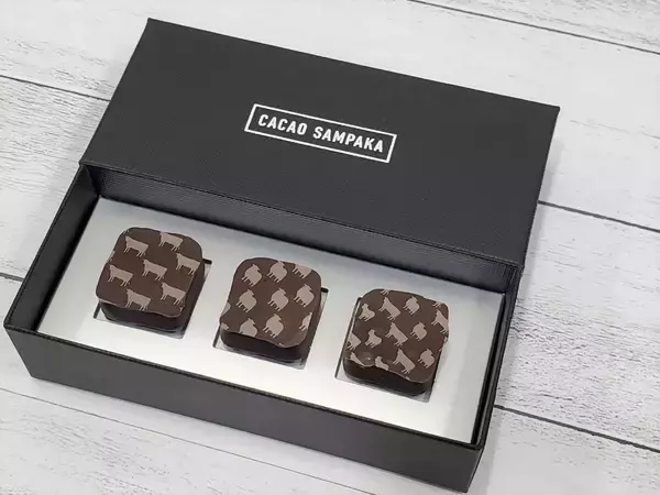 今年のバレンタイン。自宅で楽しむチョコレート3選【チョコレート探検家がおすすめ 】