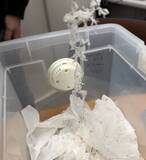 「新たな文化財害虫・ニュウハクシミの脅威！」の画像2