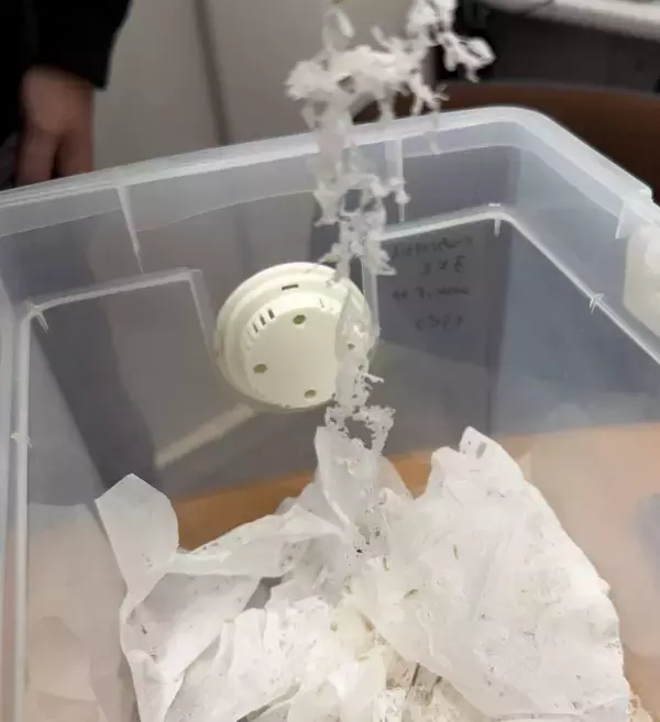 「新たな文化財害虫・ニュウハクシミの脅威！」の画像