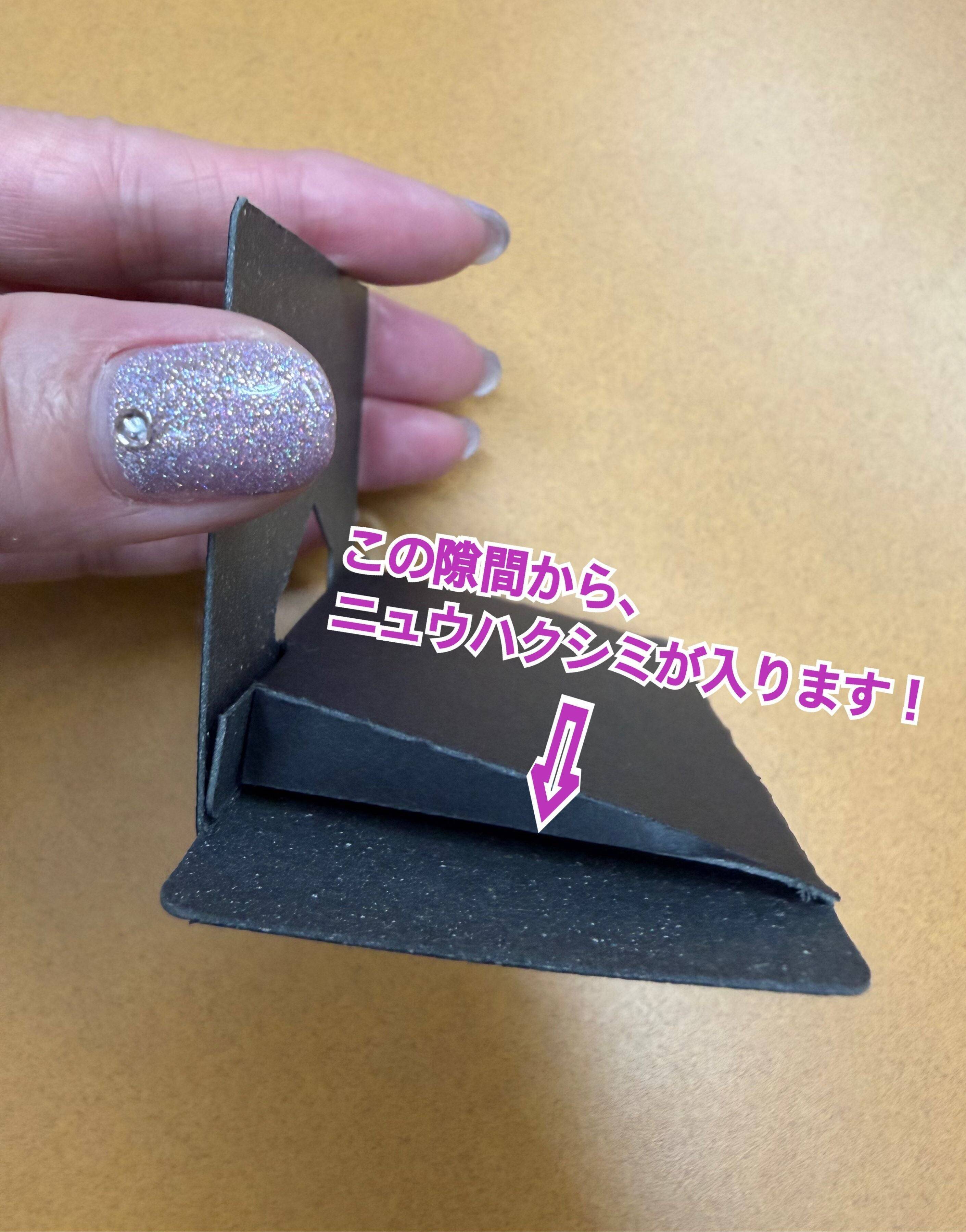 新たな文化財害虫・ニュウハクシミの脅威！