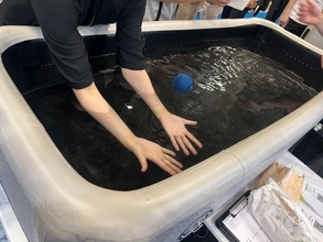 最新は”浸ける”？猛暑対策最前線！