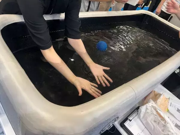 最新は”浸ける”？猛暑対策最前線！