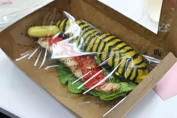 「楠田枝里子「あ、もう始まってるんですか？」」の画像