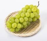 「人気のシャインマスカット　国内では拡大　輸出には高い壁」の画像1