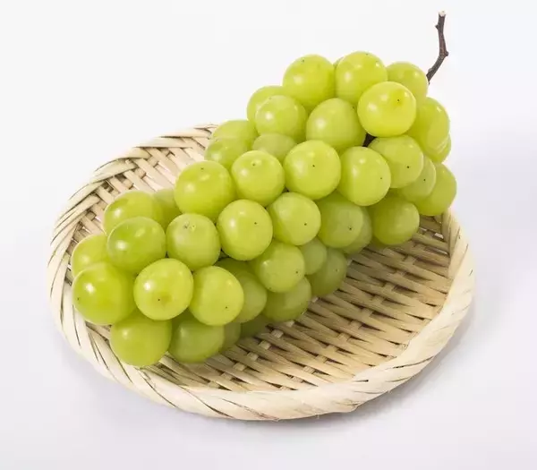 人気のシャインマスカット　国内では拡大　輸出には高い壁