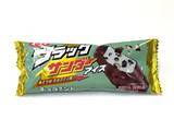 「24種を食べ比べ！No.1チョコミントアイスとタイプ別おすすめ」の画像7