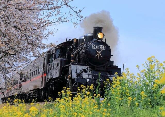 まだ間に合う　関東で一番紅葉が遅い場所