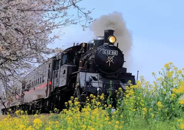 「まだ間に合う　関東で一番紅葉が遅い場所」の画像