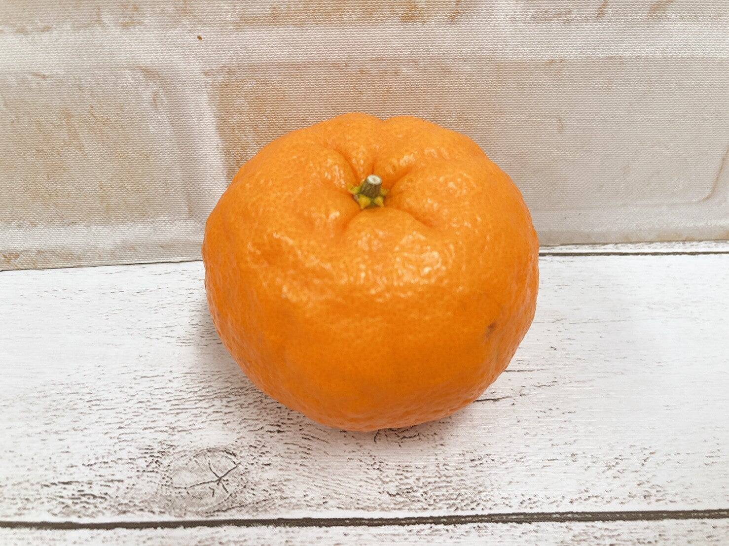 柑橘系の果物「はるか」の、ツンデレなポテンシャルがすごい