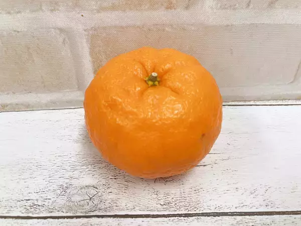 「柑橘系の果物「はるか」の、ツンデレなポテンシャルがすごい」の画像