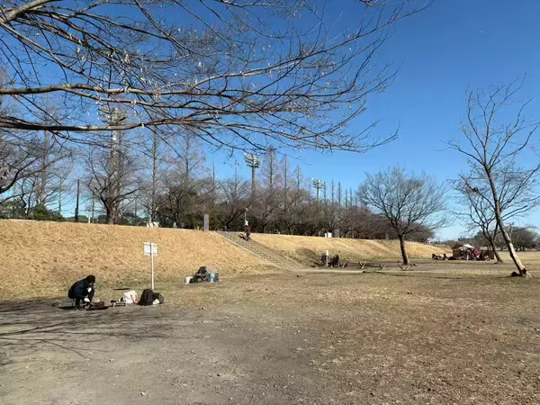 「焚き火がもたらしてくれる”無言コミュニケーション”とは  杉山アナ焚き火体験」の画像