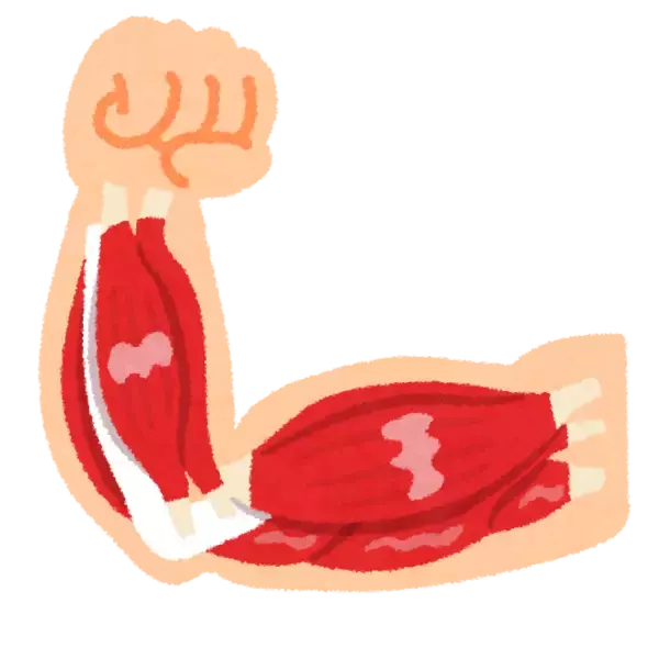 「医師が解説！熱中症対策のポイントは”筋肉・キウイ・味噌汁”」の画像