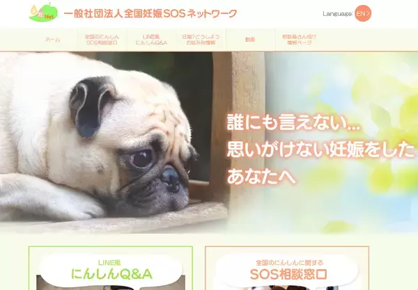 「予期せぬ妊娠 支援の地域格差」の画像