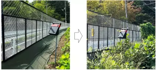 静電気で雑草を抑制する装置～静電気のチカラってすごいかも！