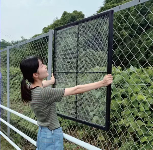 「静電気で雑草を抑制する装置～静電気のチカラってすごいかも！」の画像