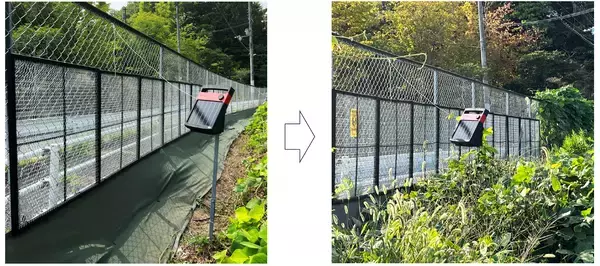 「静電気で雑草を抑制する装置～静電気のチカラってすごいかも！」の画像