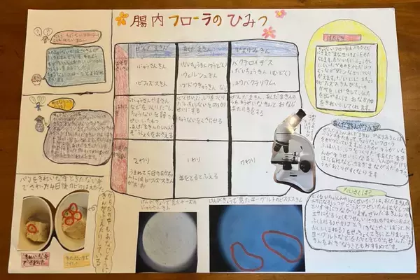 「夏休みの宿題に現役医師　自由研究を一緒に考える」の画像
