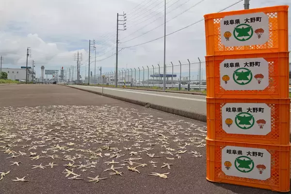 「海の困りものが資源へ　広がる利活用の取り組み」の画像