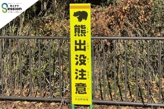 クマが人を襲う理由。食べ物の9割は植物なのに…専門家が解説、ある影響説の真偽