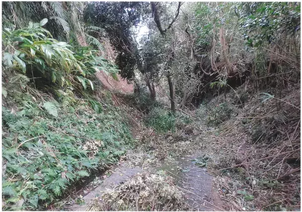 「台風被災から三か月の八丈町」の画像