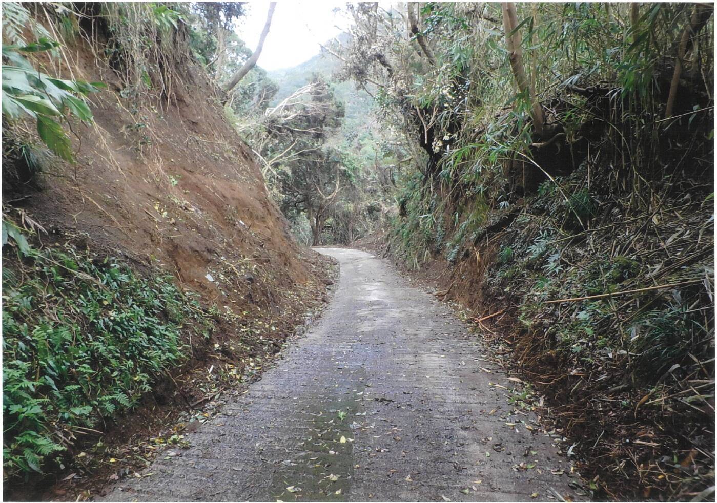 台風被災から三か月の八丈町