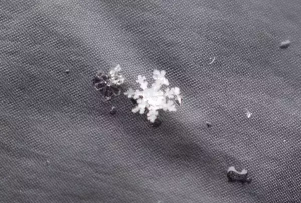 【大人の自由研究】スマホで雪の結晶を撮影してみよう