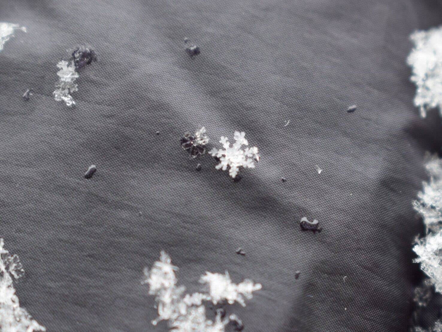 【大人の自由研究】スマホで雪の結晶を撮影してみよう