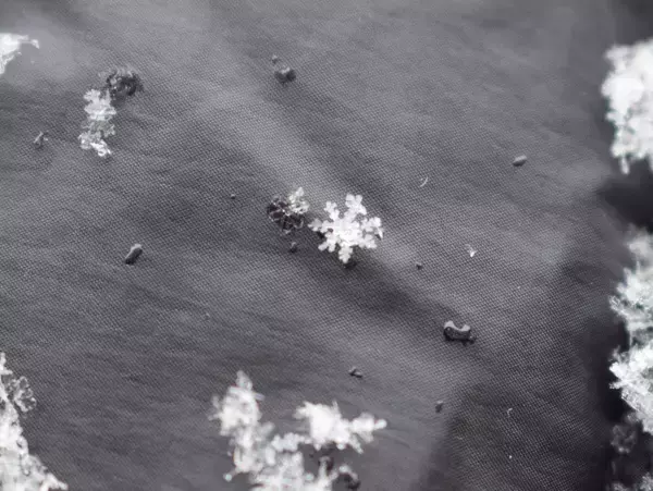 「【大人の自由研究】スマホで雪の結晶を撮影してみよう」の画像