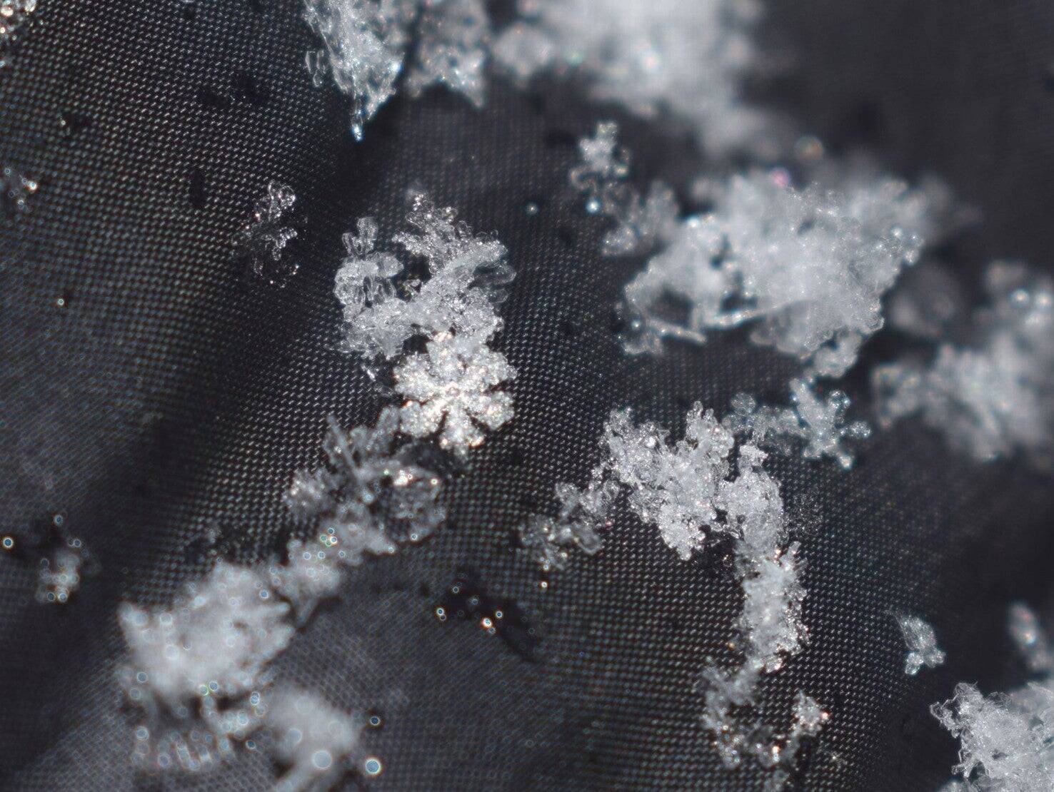 【大人の自由研究】スマホで雪の結晶を撮影してみよう