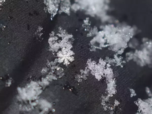 「【大人の自由研究】スマホで雪の結晶を撮影してみよう」の画像