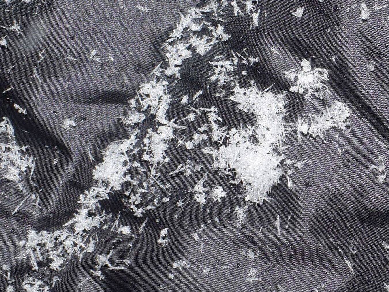 【大人の自由研究】スマホで雪の結晶を撮影してみよう