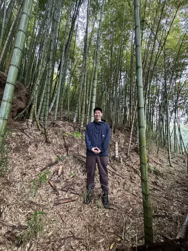 「放置竹林を食べて減らす　町田市の給食に入った竹」の画像