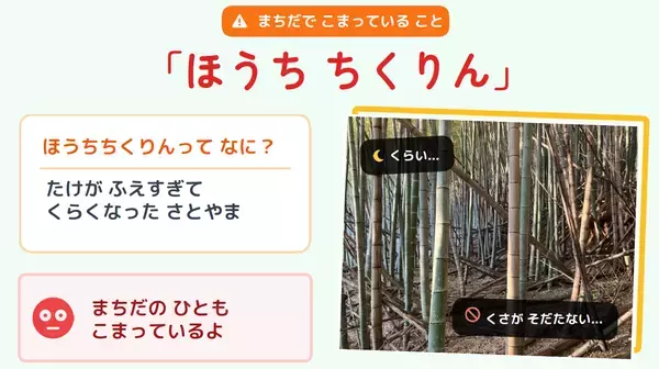 「放置竹林を食べて減らす　町田市の給食に入った竹」の画像
