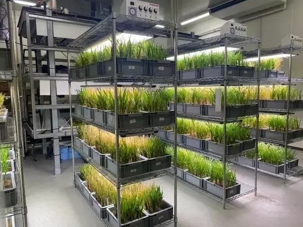 育て方を変える挑戦　農業の新しい選択肢