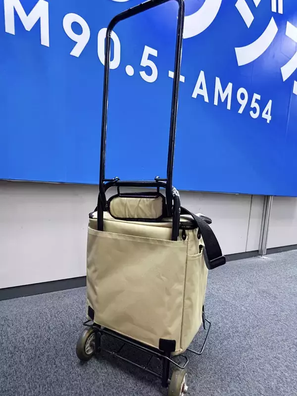 「【保冷バッグ決定版】タイプ別おすすめと最強のサーモス」の画像