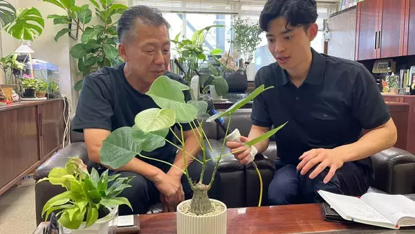 「夏こそ始めどきの観葉植物！オザキフラワーパークが凄すぎた！」の画像