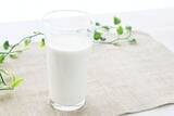 「会議中に牛乳を飲む委員会も！？ 知られざる国会の”飲み物”ルール」の画像1