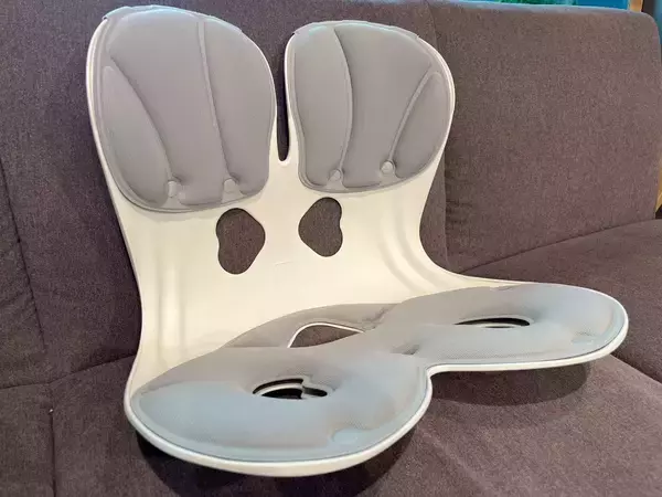 「川田裕美アナは、なぜあんなに姿勢がいいのか」の画像