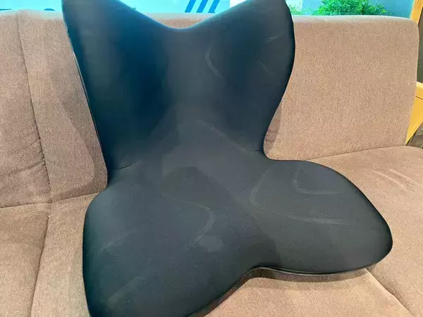 「川田裕美アナは、なぜあんなに姿勢がいいのか」の画像