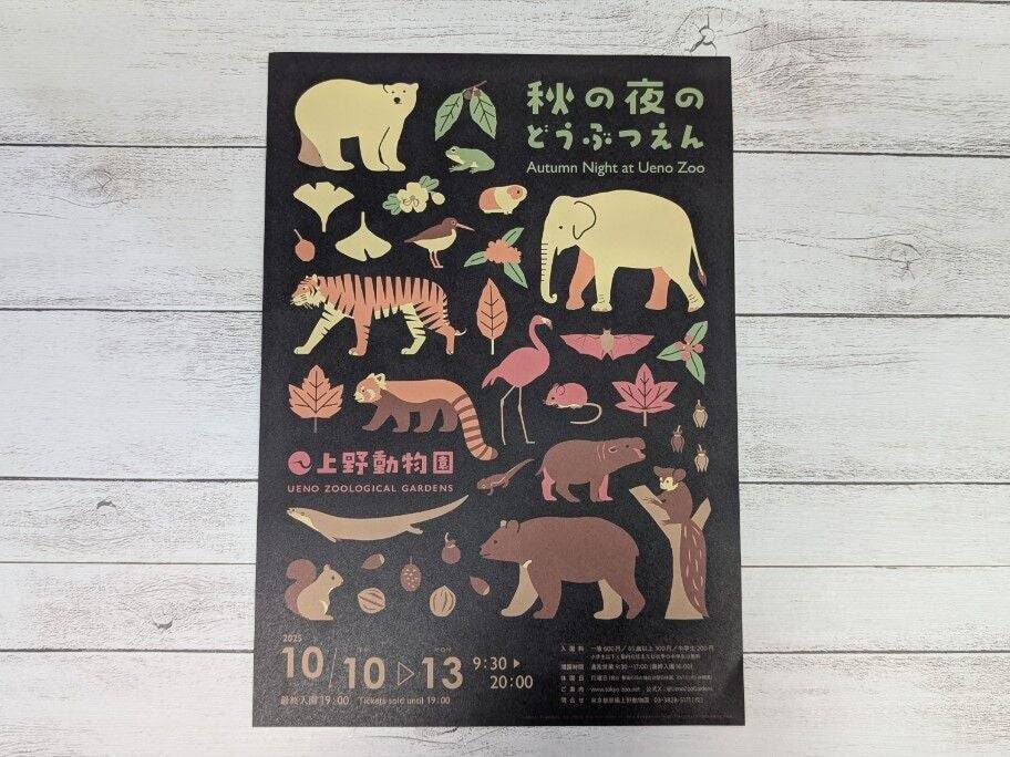 お得なチケット『ぐるっとパス』で芸術の秋を満喫しよう