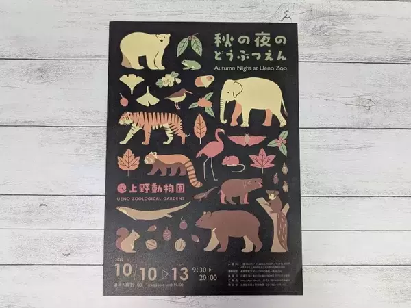 「お得なチケット『ぐるっとパス』で芸術の秋を満喫しよう」の画像