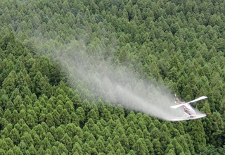 スギ花粉の苦しみからついに解放？花粉飛散防止薬の散布実験！
